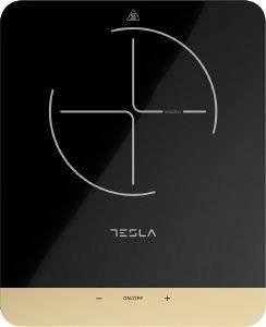 ���� ��������� ����� TESLA IC401B
