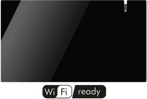   RADIALIGHT   AETHEREA 10 BLACK