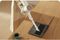 ΣΚΟΥΠΑ STICK XIAOMI VACUUM CLEANER G20 EU ΣΚΟΥΠΑ STICK XIAOMI VACUUM CLEANER G20 EU