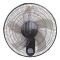   45CM EUROLAMP 147-29342 ...