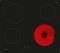 �������� �������� ����� NEFF T16NBE1L