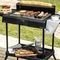   -  2400 W PERFECTSTEAK 4250 STAND CECOTEC CEC-03049