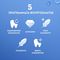   ORAL-B IO SERIES 7 SAPPHIRE BLUE