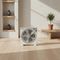 ����������� ������� SILIFO SF3230 BOX FAN 40W 30CM