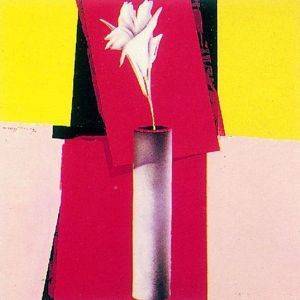 ������� ����� - ����� ����