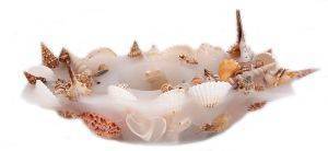 ���� ������������ �� ����� ������ �� �������