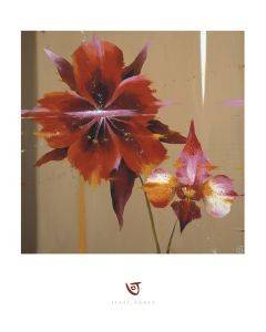 ΑΝΤΙΓΡΑΦΟ ORCHID & CORN POPPY 40 X 50 CM ΑΝΤΙΓΡΑΦΟ ORCHID & CORN POPPY 40 X 50 CM