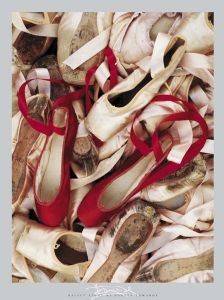 ��������� SATIN SHOES 40 X 50 CM