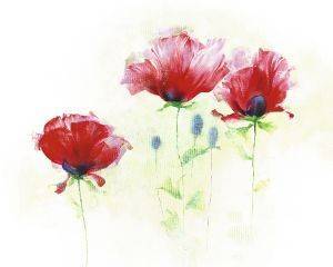  RED POPPIES II 40 X 50 CM