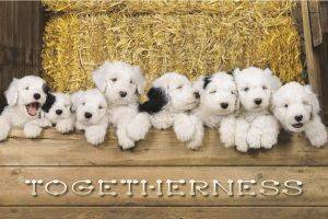 POSTER TOGETHERNESS 61 X 91.5 CM