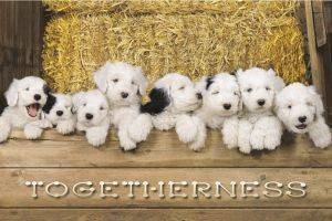 POSTER TOGETHERNESS 61 X 91.5 CM