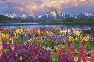 POSTER GRAND TETON 61 X 91.5 CM