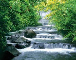POSTER FORTUNA FALLS 40.6 X 50.8 CM POSTER FORTUNA FALLS 40.6 X 50.8 CM