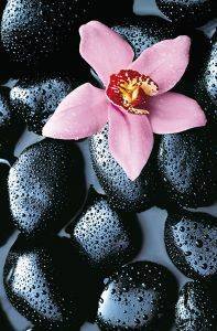ΦΩΤΟΤΑΠΕΤΣΑΡΙΑ STONE ORCHIDS 175 X 115 CM ΦΩΤΟΤΑΠΕΤΣΑΡΙΑ STONE ORCHIDS 175 X 115 CM