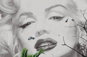 ΦΩΤΟΤΑΠΕΤΣΑΡΙΑ MARILYN A CANNES 175 X 115 CM ΦΩΤΟΤΑΠΕΤΣΑΡΙΑ MARILYN A CANNES 175 X 115 CM