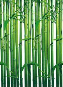 ΦΩΤΟΤΑΠΕΤΣΑΡΙΑ BAMBOO 183 X 254 CM ΦΩΤΟΤΑΠΕΤΣΑΡΙΑ BAMBOO 183 X 254 CM