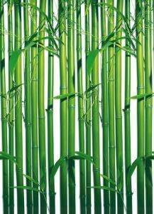  BAMBOO 183 X 254 CM