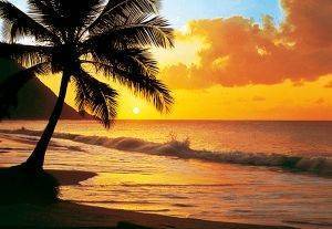 ΦΩΤΟΤΑΠΕΤΣΑΡΙΑ PACIFIC SUNSET 366 X 254 CM ΦΩΤΟΤΑΠΕΤΣΑΡΙΑ PACIFIC SUNSET 366 X 254 CM