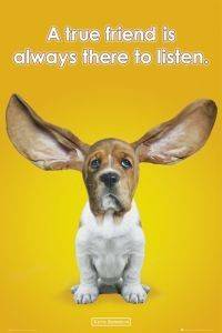 POSTER KIMBERLIN EARS 61 X 91.5 CM POSTER KIMBERLIN EARS 61 X 91.5 CM