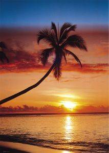 POSTER SUNSET & PALM TREE 61 X 91.5 CM