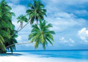 POSTER FIHALHOHI ISLAND 61 X 91.5 CM POSTER FIHALHOHI ISLAND 61 X 91.5 CM