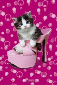POSTER KIMBERLIN SHOE 61 X 91.5 CM POSTER KIMBERLIN SHOE 61 X 91.5 CM