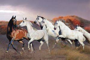 POSTER LANGRISH DUSK 61 X 91.5 CM POSTER LANGRISH DUSK 61 X 91.5 CM