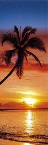 DOOR POSTER SUNSET & PALM TREE 53 X 158 CM