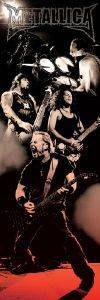 DOOR POSTER METALLICA LIVE 53 X 158 CM