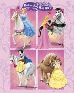 POSTER PRINCESS RIDE 40.6 X 50.8 CM