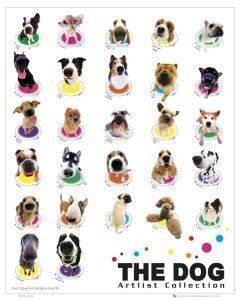POSTER THE DOG COLOUR COMPILATION 40.6 X 50.8 CM POSTER THE DOG COLOUR COMPILATION 40.6 X 50.8 CM