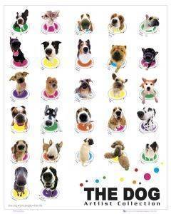 POSTER THE DOG COLOUR COMPILATION 40.6 X 50.8 CM