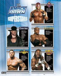 POSTER WWE SMACKDOWN 40.6 X 50.8 CM POSTER WWE SMACKDOWN 40.6 X 50.8 CM
