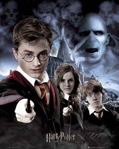 POSTER HARRY POTTER 40.6 X 50.8 CM POSTER HARRY POTTER 40.6 X 50.8 CM