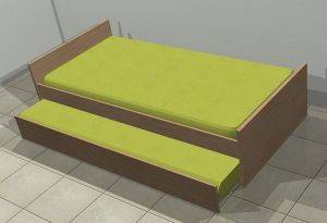 ������� ���� ���� �� 2<SUP>O</SUP> �������