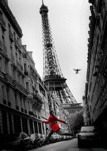 3D POSTER LA VESTE ROUGE 46.8 X 67.1 CM 3D POSTER LA VESTE ROUGE 46.8 X 67.1 CM