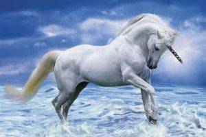 POSTER UNICORN (61X91.5CM) POSTER UNICORN (61X91.5CM)