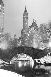 POSTER  NEW YORK  CENTRAL PARK   61 X 91.5 CM