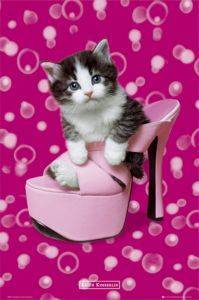 POSTER KEITH KIMBERLIN SHOE 61 X 91.5 CM POSTER KEITH KIMBERLIN SHOE 61 X 91.5 CM