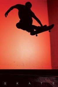 POSTER  SKATE   61 X 91.5 CM