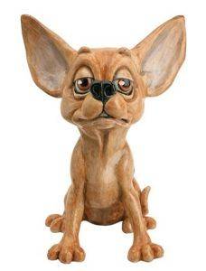 LP ZIGGY (CHIHUAHUA) LP ZIGGY (CHIHUAHUA)
