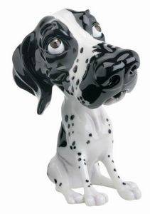 LP BONNY (POINTER) LP BONNY (POINTER)