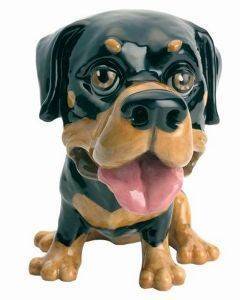 LP ROCKY (ROTTWEILER) LP ROCKY (ROTTWEILER)