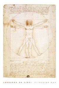 POSTER LEONARDO DAVINCI\'S VITRUVIAN MAN 61 X 91.5 CM POSTER LEONARDO DAVINCI\'S VITRUVIAN MAN 61 X 91.5 CM