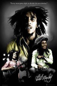 POSTER BOB MARLEY DESTINY 61 X 91.5 CM POSTER BOB MARLEY DESTINY 61 X 91.5 CM