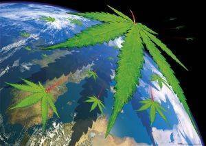 POSTER EARTH WITH MARIJUANA 61 X 91.5 CM