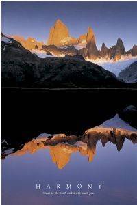 POSTER HARMONY 61 X 91.5 CM POSTER HARMONY 61 X 91.5 CM
