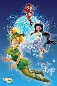 POSTER DISNEY FAIRIES MOONSTONE S.O.S 61 X 91.5 CM