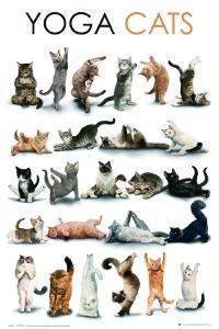 POSTER YOGA CATS 61 X 91.5 CM