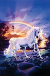 POSTER UNICORN RAINBOW 61 X 91.5 CM